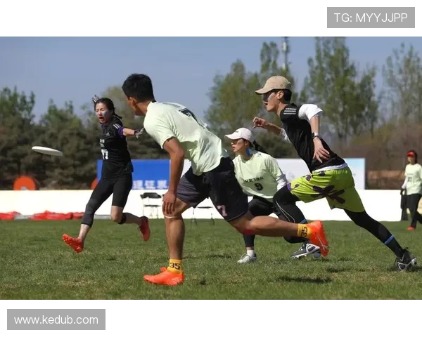 飞盘飞扬：见证上海飞盘队从萌芽到辉煌的成长历程